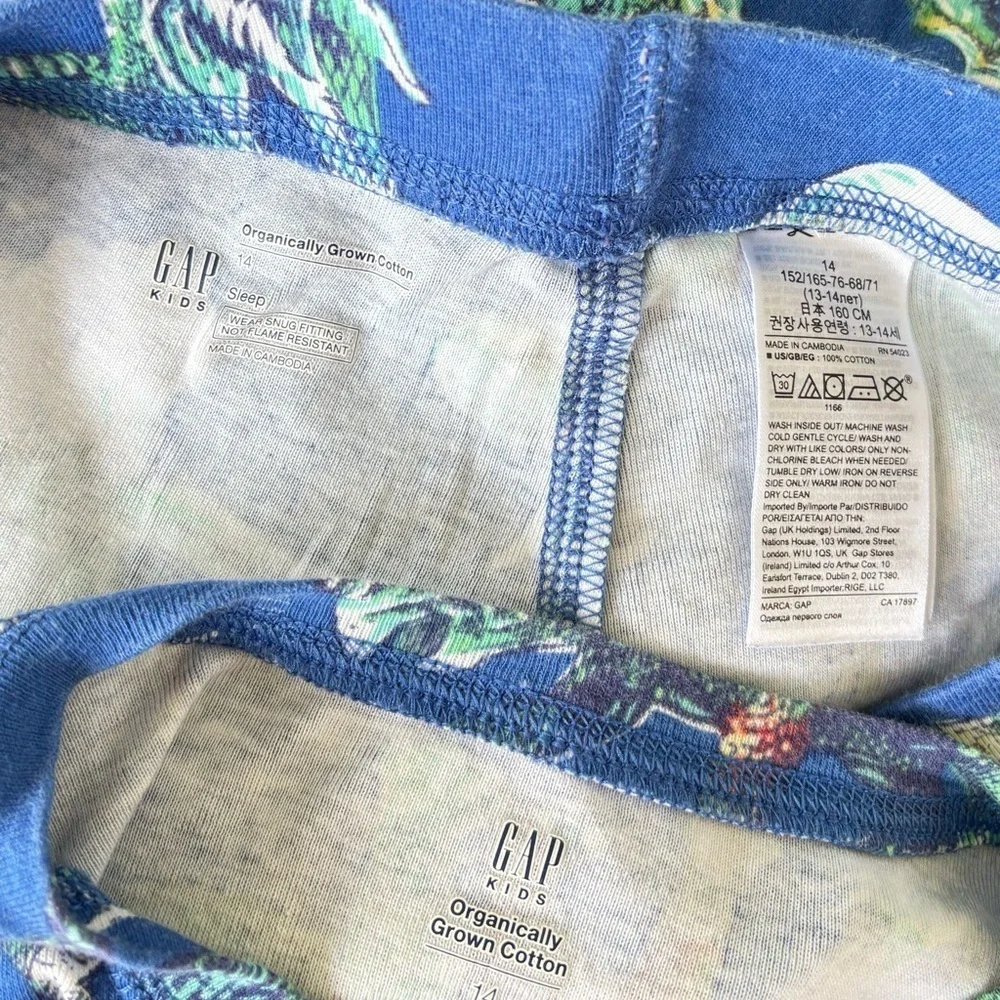 Gap Kids 100% Organic Cotton Dinosaur Graphic PJ Set